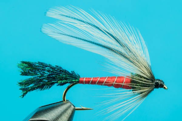 Spruce Fly - Hazy Fly Fishing
