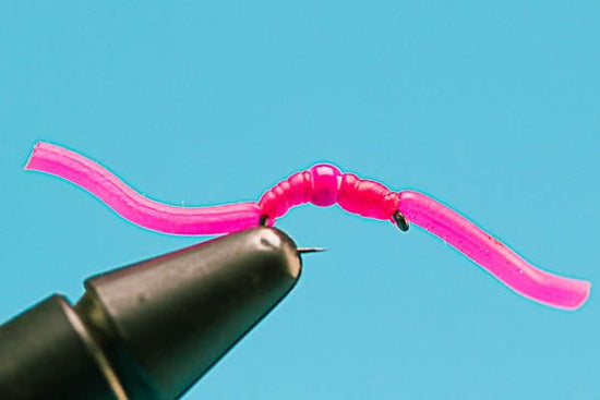Squirmy Wormy Euro - Tungsten (Barbless) - Hazy Fly Fishing