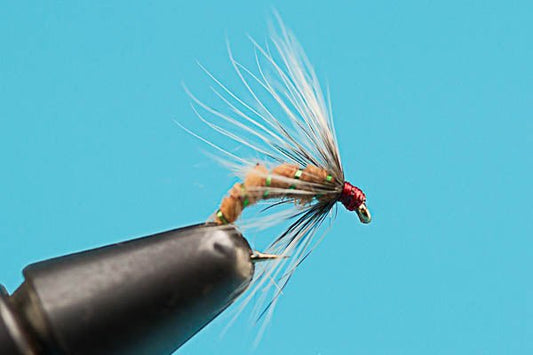 Squirrel and Ginger Caddis Emerger - Hazy Fly Fishing