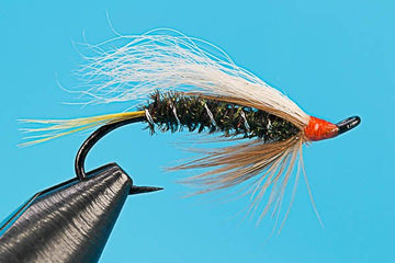 Steelhead Coachman - Hazy Fly Fishing