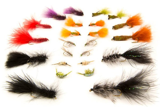 Stillwater Assortment - 24 Flies 50 - Hazy Fly Fishing