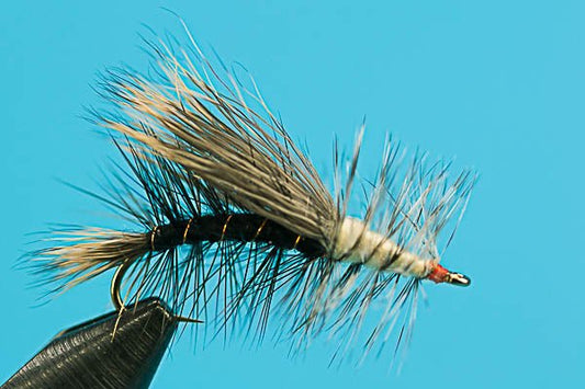 Stimulator - Hazy Fly Fishing