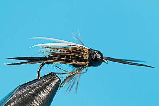 Stone Prince - Tungsten - Hazy Fly Fishing