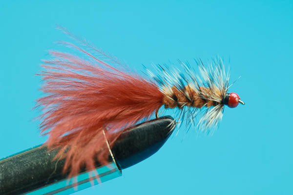 Strawberry Blonde Bugger - Hazy Fly Fishing
