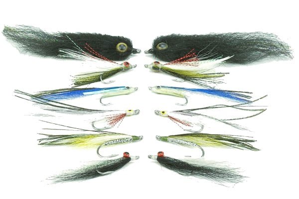 Striper Assortment - 12 Flies 53 - Hazy Fly Fishing