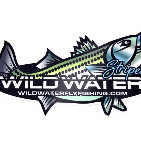Striper Sticker | Wild Water Fly Fishing - Hazy Fly Fishing