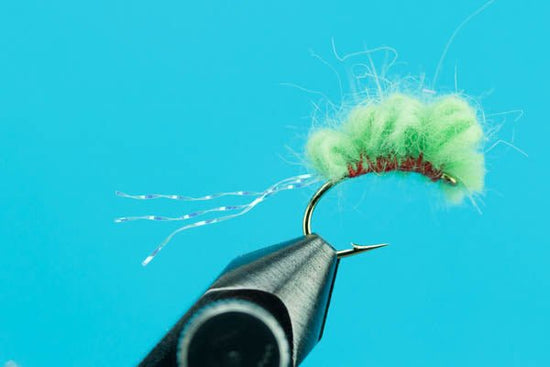 Sucker Spawn - Hazy Fly Fishing