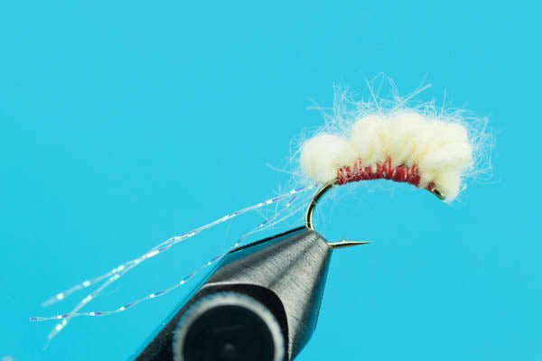 Sucker Spawn - Hazy Fly Fishing
