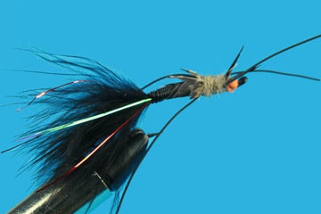 Sucking Stone Fly - Hazy Fly Fishing