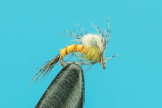 Sulphur CDC Biot Emerger - Hazy Fly Fishing