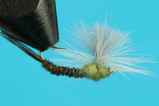 Sulphur Emerger - Hazy Fly Fishing