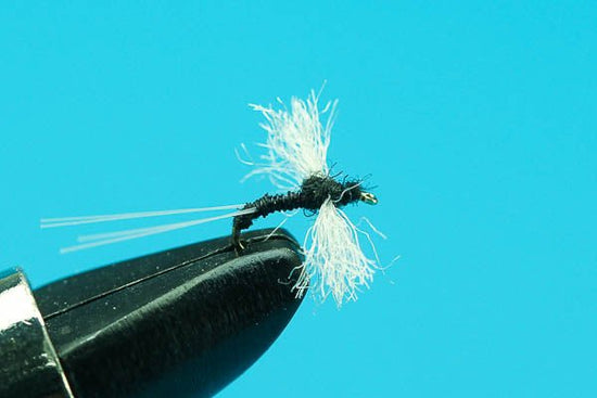 Sunken Trico - Hazy Fly Fishing