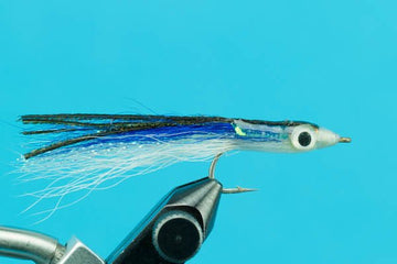 Surf Candy - Hazy Fly Fishing