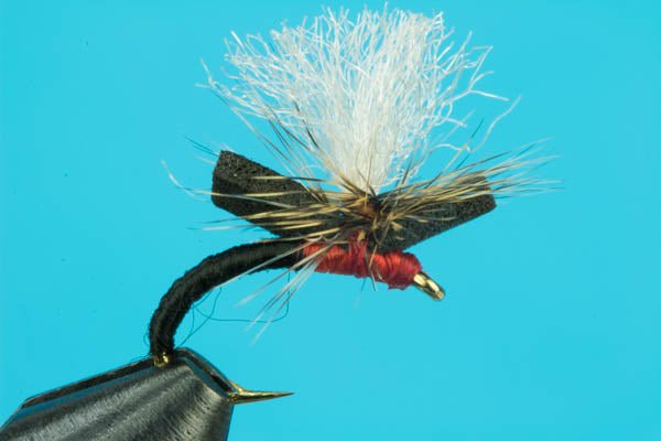 Suspended Ant - Hazy Fly Fishing