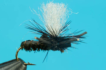 Suspended Beetle - Hazy Fly Fishing