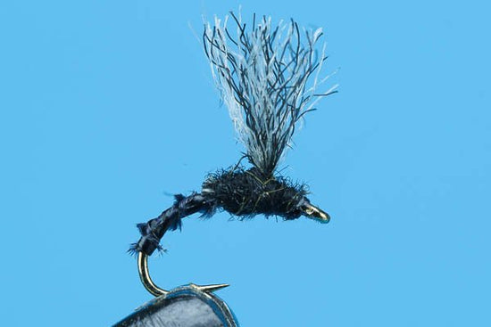 Suspender Midge - Hazy Fly Fishing