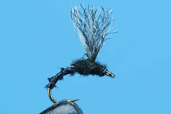 Suspender Midge - Hazy Fly Fishing