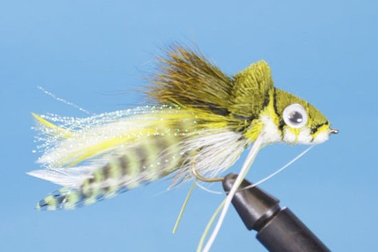 Swimming Frog - Hazy Fly Fishing