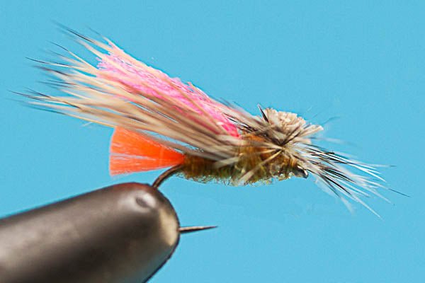Tactical Caddis (Barbless) - Hazy Fly Fishing