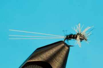 Tanked Trico - Hazy Fly Fishing