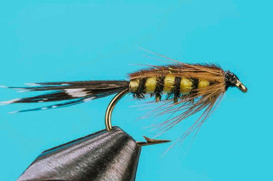 Tellico Nymph - Hazy Fly Fishing