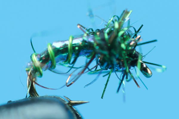 Terminal Midge - Hazy Fly Fishing