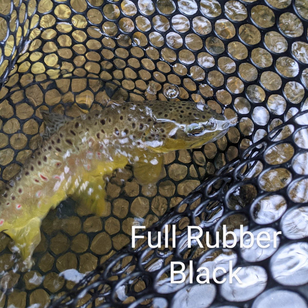 The Blue Line - Hazy Fly Fishing
