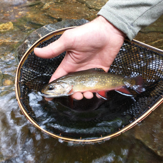 The Brookie - Hazy Fly Fishing