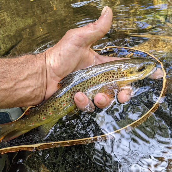 The Brookie - Hazy Fly Fishing