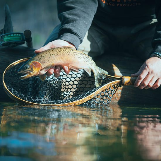 The Pocket Water - Hazy Fly Fishing
