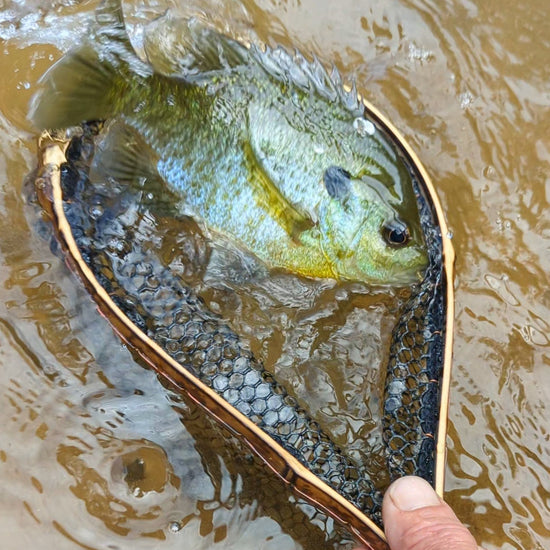 The Speck - Hazy Fly Fishing