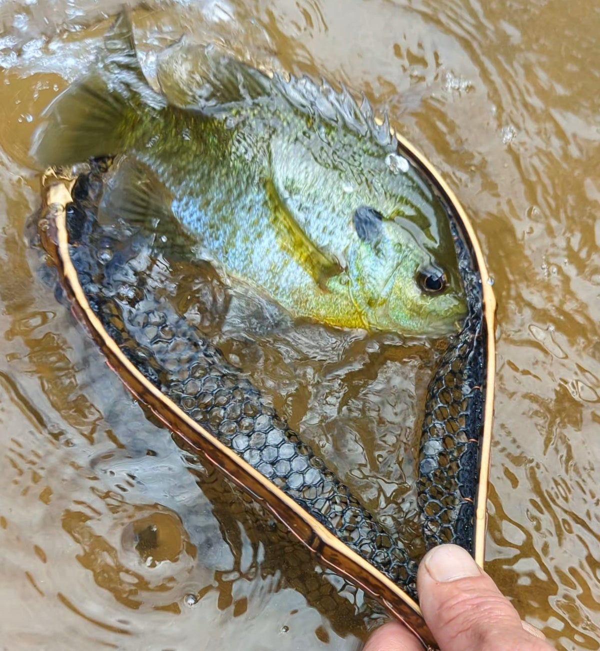The Speck - Hazy Fly Fishing