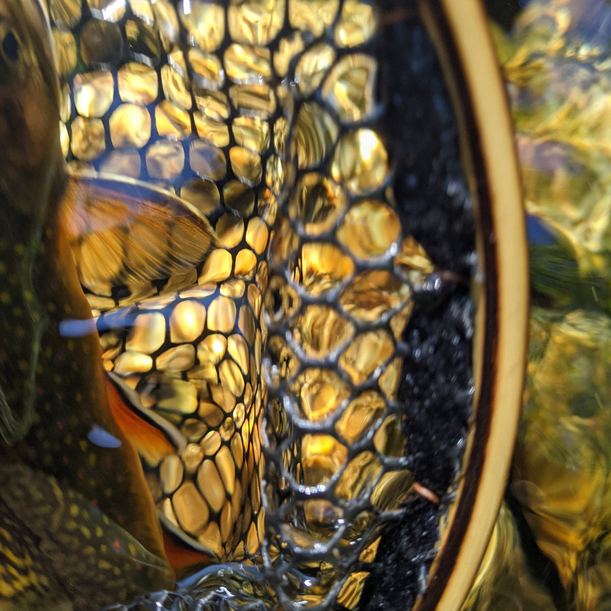 The Upstream - Hazy Fly Fishing