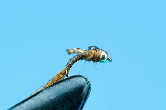 Tiny Tailwater - Beadhead - Hazy Fly Fishing