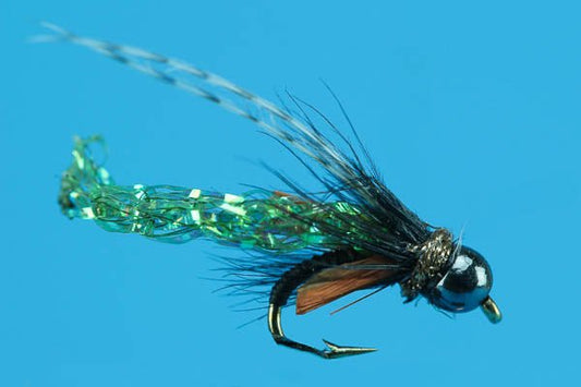 TNT Caddis - Beadhead - Hazy Fly Fishing