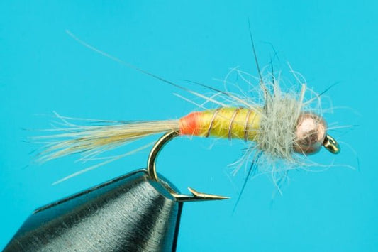 Tooth Decay - Beadhead - Hazy Fly Fishing