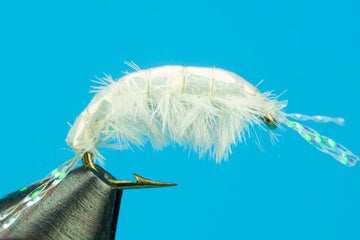 Translucent Scud - Hazy Fly Fishing