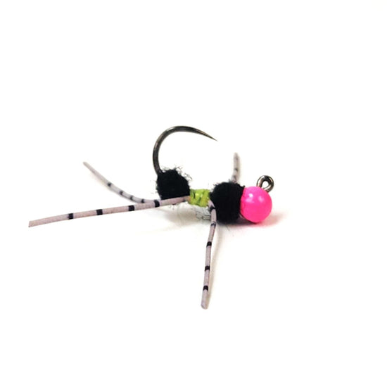 Trench Ant - Tungsten (Barbless) - Hazy Fly Fishing