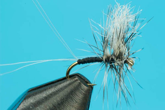 Trico Dun - Hazy Fly Fishing