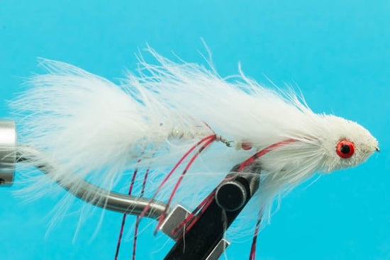 Trophy Dungeon - Hazy Fly Fishing