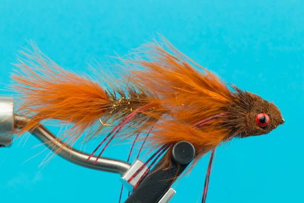 Trophy Dungeon - Hazy Fly Fishing