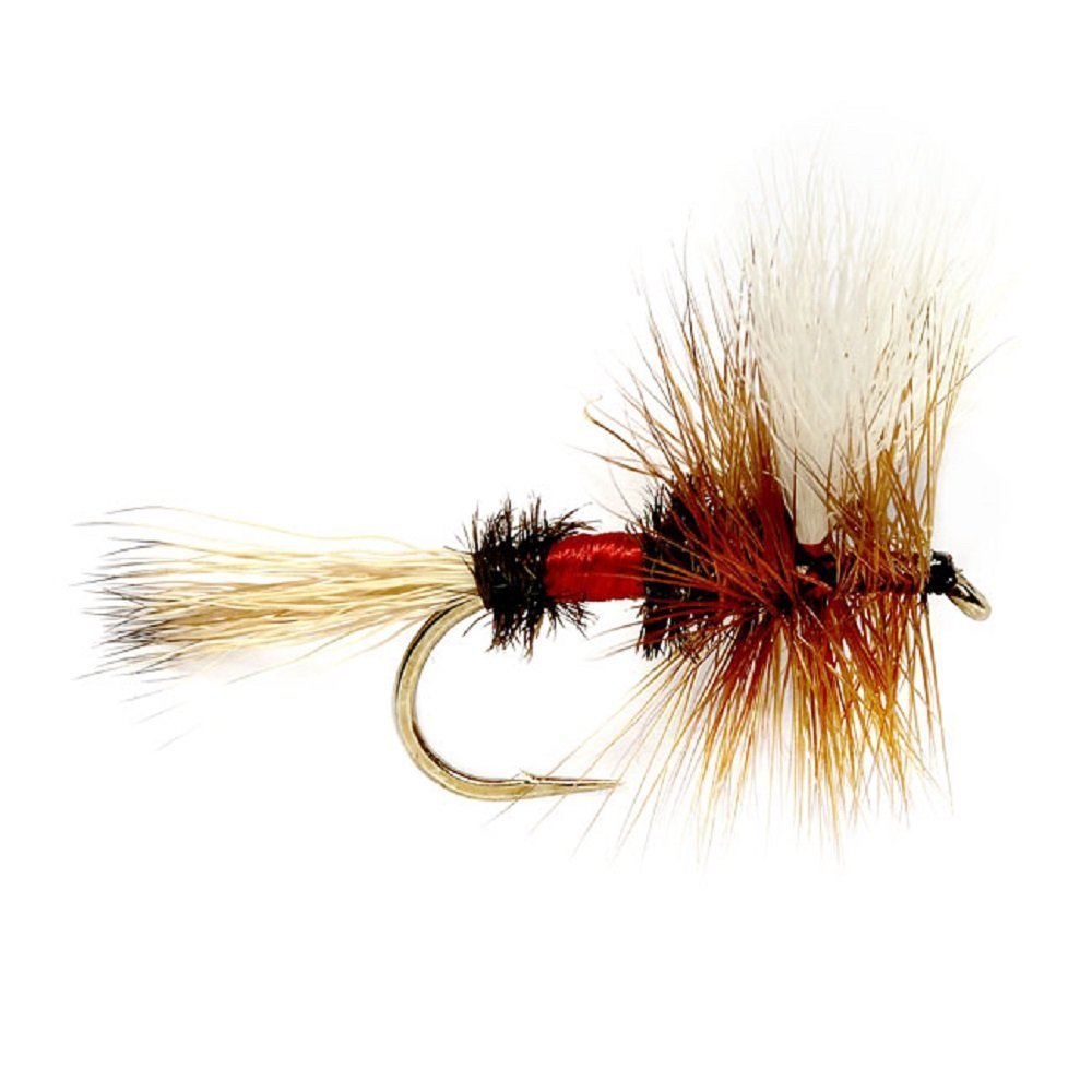 Trout Flies Assortment - 12 Flies for Trout Fly Fishing with Fly Box - Essential Dry and Wet Fly Selection - Hazy Fly Fishing