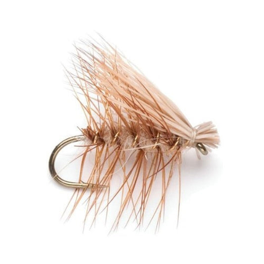 Trout Fly Assortment - Essential Western Dry and Nymph Fly Fishing Flies Collection - 2 Dozen Trout Flies with Fly Box - Hazy Fly Fishing