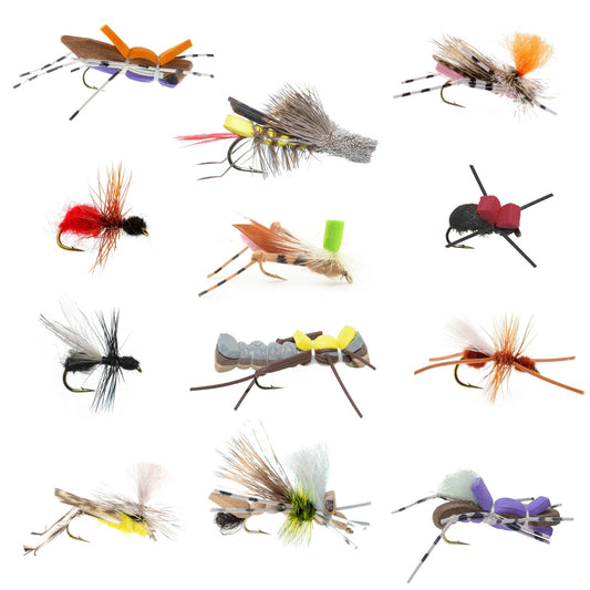 Trout Fly Assortment - Premium Terrestrial Flies - 12 Essential Hoppers, Ants and Beetles with Fly Box - Hazy Fly Fishing