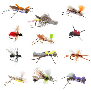 Trout Fly Assortment - Premium Terrestrial Flies - 12 Essential Hoppers, Ants and Beetles with Fly Box - Hazy Fly Fishing