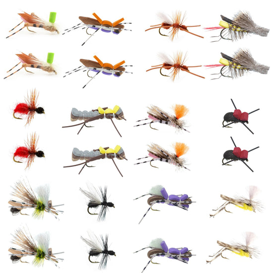 Trout Fly Assortment - Premium Terrestrial Flies - 24 Essential Hoppers, Ants and Beetles with Fly Box - Hazy Fly Fishing