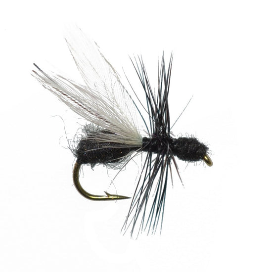 Trout Fly Assortment - Premium Terrestrial Flies - 24 Essential Hoppers, Ants and Beetles with Fly Box - Hazy Fly Fishing