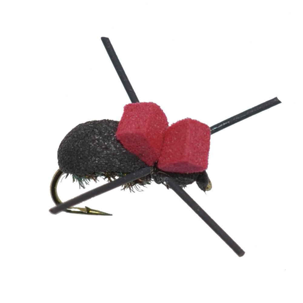 Trout Fly Assortment - Premium Terrestrial Flies - 24 Essential Hoppers, Ants and Beetles with Fly Box - Hazy Fly Fishing