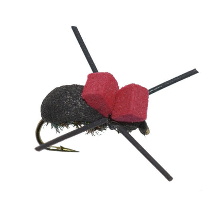 Trout Fly Assortment - Premium Terrestrial Flies - 24 Essential Hoppers, Ants and Beetles with Fly Box - Hazy Fly Fishing
