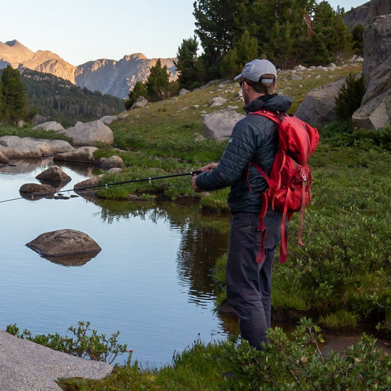 Tungsten Bead Flashback Gold Ribbed Hare's Ear Trout Fly 1 Dozen Nymph Wet Flies Size 10 - Hazy Fly Fishing
